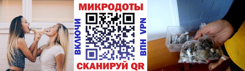 Псилоцибиновые грибы Psilocybe где можно купить наркотик Дмитриев